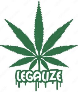 STF avança no julgamento sobre descriminalização do porte de maconha para uso pessoal no Brasil