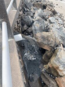 Esgoto é despejado na Ponta d’Areia; Sema diz que aguarda novo laudo sobre condições da água