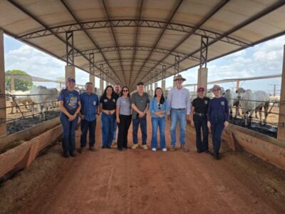 FRIBAL reforça compromisso com sanidade e rastreabilidade do rebanho bovino em evento com MAPA e AGED-MA