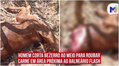 Homem corta bezerro ao meio para roubar carne em área próxima ao Balneário Flash