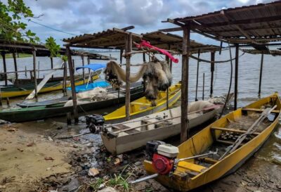 Início do defeso da piracema restringe pesca comercial no país