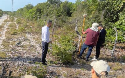 Judiciário realiza inspeção judicial em área de conflito agrário em Santo Amaro