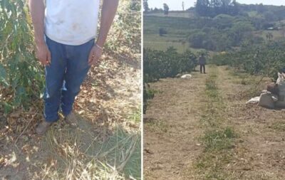 Operação resgata maranhenses mantidos como escravos em fazenda de café no interior de São Paulo