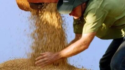 Brasil aumenta exportação de soja para a China, ocupando lugar dos EUA