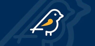 Saiba como denunciar irregularidades eleitorais usando o app Pardal do TRE