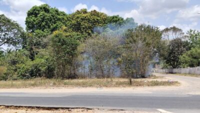 Incêndio em terreno baldio na Avenida Brasil é rapidamente controlado pelo Corpo de Bombeiros