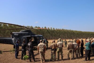 Polícia Federal destrói 29 mil pés de maconha em Grajaú