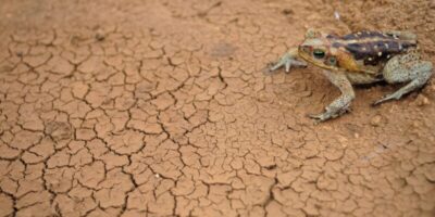 Governo federal reconhece a situação de emergência em 54 cidades