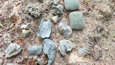 Sítio arqueológico é encontrado em comunidade quilombola de Bequimão