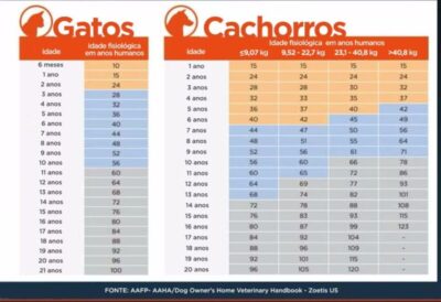 Novos estudos revelam que cálculo da “idade humana” de cães e gatos muda completamente
