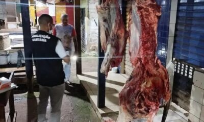 Vigilância Sanitária apreende carne exposta após flagrante de gatos em mercado de Mirinzal