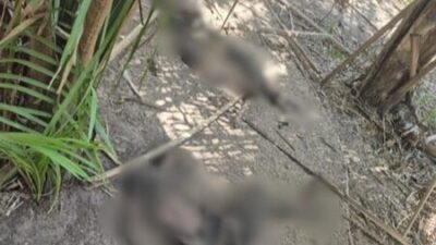 Urgente ! Corpos de adolescentes desaparecidos em Timon são encontrados