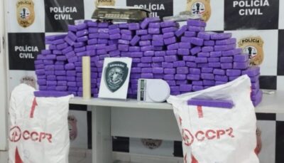 Raposa: Polícia Civil apreende 235 tabletes de maconha em operação