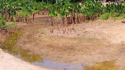 Vereador diz que em Timon grandes balneários estão represando as águas dos riachos e prejudicando comunidades