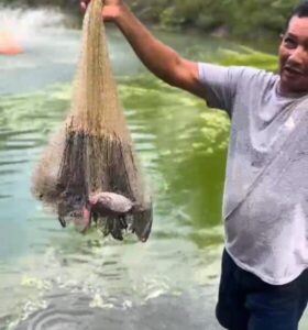 Secretaria de Agricultura Familiar intensifica apoio aos produtores rurais de São Benedito