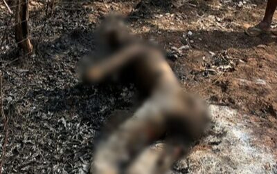 Corpo carbonizado com marcas de tiros é encontrado às margens da BR-226 em Timon