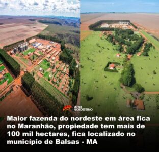 Maior fazenda do Nordeste fica no Maranhão, tem 250 empregados fixos e pertence a gigante gaúcha do agro