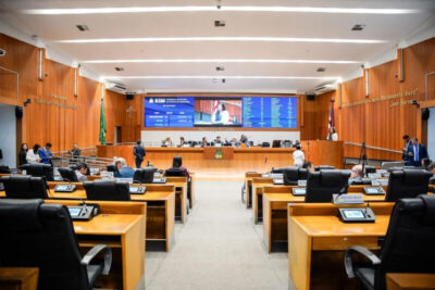 Plenário aprova programa de valorização de protetores e cuidadores de animais