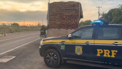 PRF intercepta transporte ilegal de mais de 84 m³ de madeira serrada no sul do Maranhão