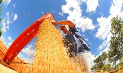 Agropecuária ajudou oito estados a crescerem mais que o Brasil em 2023