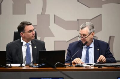 Projeto que facilita compra de armas de fogo é aprovado pela CSP