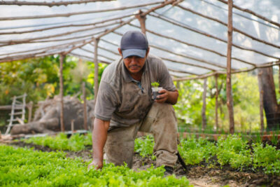 COP30: Maranhão vai apresentar Projeto Amazônico de Gestão Sustentável