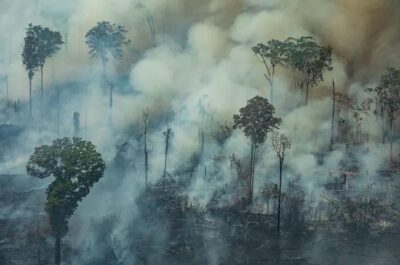 Combate à desinformação na agenda climática e o papel do Senado na COP 30