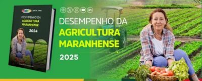 Produção agrícola do Maranhão cresce e alcança o 2º maior valor do Nordeste em 2024
