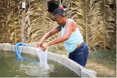 Do interior do Maranhão ao mundo: Estação Conhecimento leva experiência sustentável à COP30 em Belém