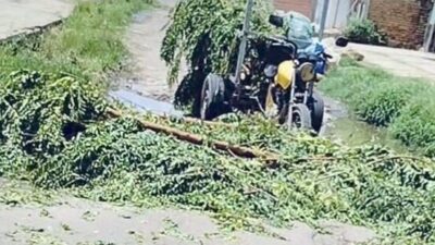 Secretário de Timon se irrita com flagrante no centro da cidade