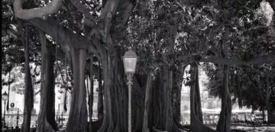 Envelhecimento: o grande desafio do Brasil no século 21