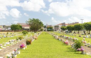 Salvatore: um novembro para celebrar o cuidado e o respeito à vida