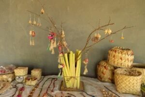 Mulheres quilombolas de Cantanhede levam produtos sustentáveis à COP30