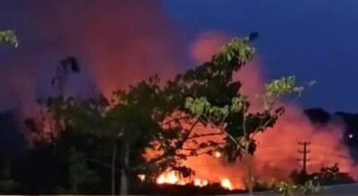 Incêndio atinge área de mata próxima à rodovia Transamazônica