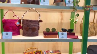 Negócios maranhenses se destacam na COP30