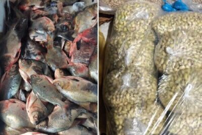 Prefeitura de Paulino Neves, realiza primeira compra do ano de 2024, do Programa de Aquisição de Alimentos-PAA