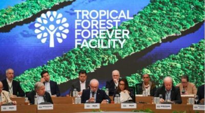 Nem a China considerada parceira confia!!! China frustra Brasil e não deve fazer aportes no fundo florestal