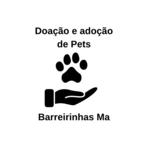 Projeto de amor e esperança busca lares para animais 🐾❤️