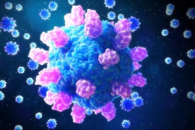 O Segredo do Astrovírus para Invadir Células e Como Isso Leva a Novas Vacinas!