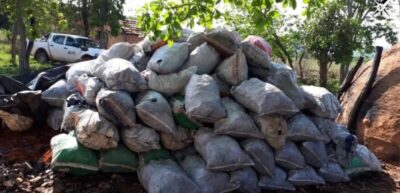 Carga de carvão é saqueada no povoado Riachão, em Igarapé do Meio