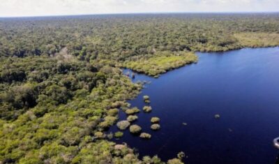 COP30: quarto leilão do Eco Invest terá foco exclusivo na Amazônia