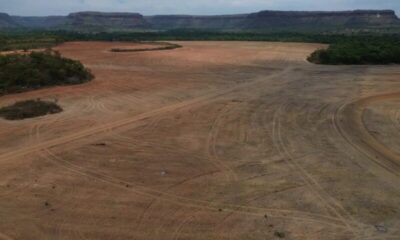 Expansão do agronegócio ameaça nascentes e agrava crise hídrica em Balsas