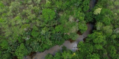 Fronteira Cerrado: ativistas querem bioma “igualado” à Amazônia
