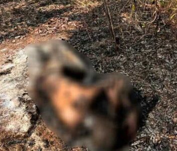 Corpo carbonizado é encontrado às margens da BR-226, em Timon