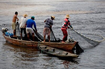Entidades da pesca movimentaram mais de R$ 400 milhões sob suspeita de fraude, aponta Coaf