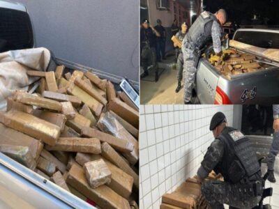 Polícia apreende meia tonelada de maconha em residência na Grande Ilha