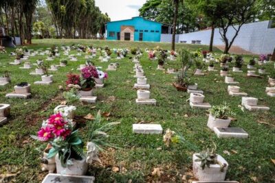 Justiça obriga Paço do Lumiar a instalar cemitério de animais e unidade de zoonoses