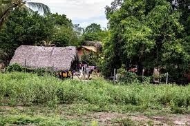 Sema promove mutirão para acelerar regularização do CAR e propriedades rurais