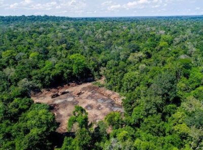 Desmatamento da Amazônia pode acelerar aquecimento global e gerar um ponto de não-retorno climático, alerta Climatempo