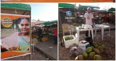 PREFEITURA DE URBANO SANTOS APOIA FEIRA DA AGRICULTURA FAMILIAR